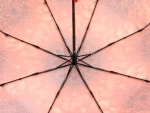 Зонт  женский Zicco, арт.2240-7_product